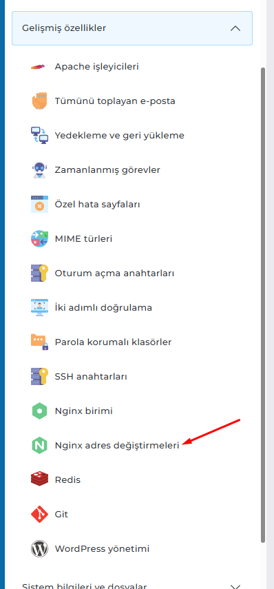 directadmin-nginx-hazir-kaliplar-1.png