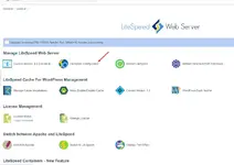 plesk-panel-litespeed-kurulumu-12.webp