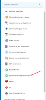 directadmin-nginx-hazir-kaliplar-1.png