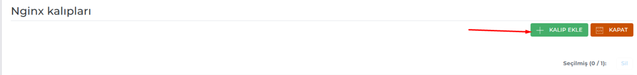 directadmin-nginx-hazir-kaliplar-2.png