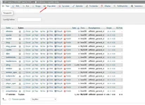 phpmyadmin-veri-tabani-disari-aktarma-4.webp
