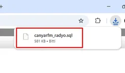 phpmyadmin-veri-tabani-disari-aktarma-6.webp