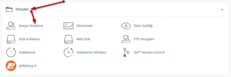 cpanel-dosya-yonetici-ftp-yedegi-alma-1.webp