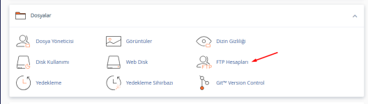 cpanel-ftp-hesabi-ekleme-1.png