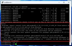 almalinux-guncelleme-hatasi.webp