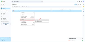 google-drive-1.webp
