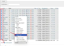 phpmyadmin-veri-tabani-disari-aktarma-2.webp