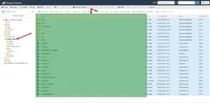 cpanel-dosya-yonetici-ftp-yedegi-alma-2.webp