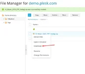 plesk-panel-dosya-yonetici-ftp-yedegi-alma-5.webp