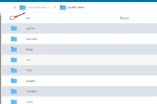 directadmin-dosya-yonetici-ftp-yedegi-alma-3.webp