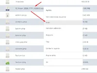 directadmin-dosya-yonetici-ftp-yedegi-alma-6.webp