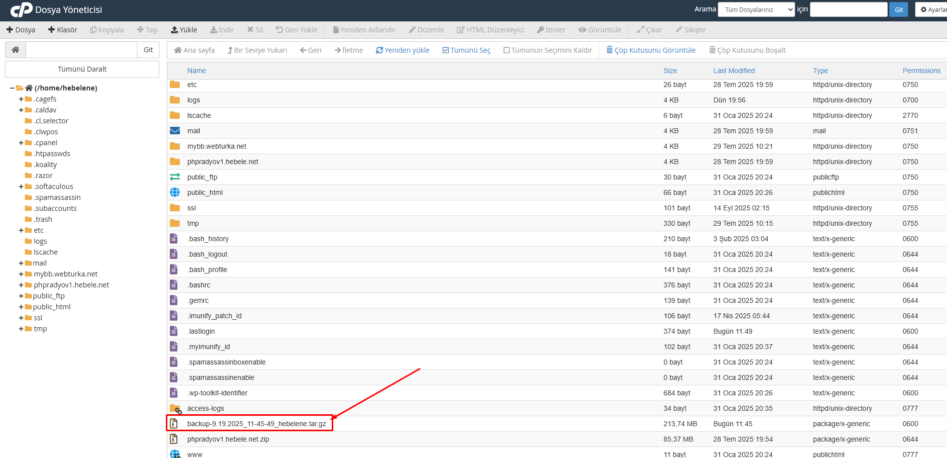 cpanel-full-backup-detayli-anlatim-7.png