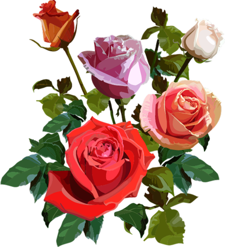 cicek_png_65.png