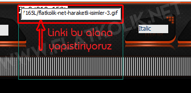 flatcast-temaya-gif-ekleme-resimli-anlatim-5.jpg