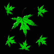 hintergrund2520bl25e43opm8.gif
