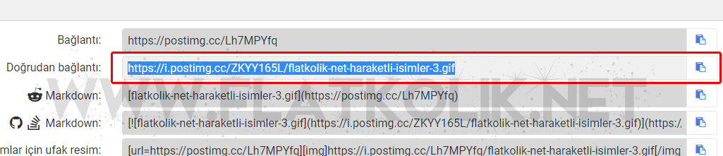 flatcast-temaya-gif-ekleme-resimli-anlatim-1.jpg