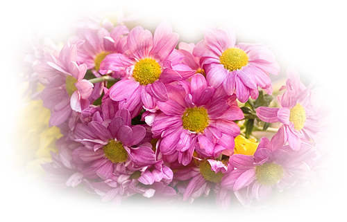 9086f055.png