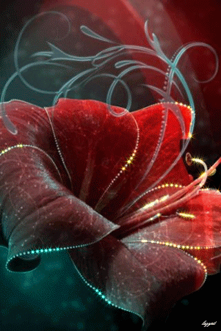beautiful-flower-animated-gif5.gif