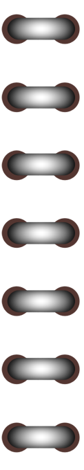 tema-susleri-toka-png-resimler-46.png