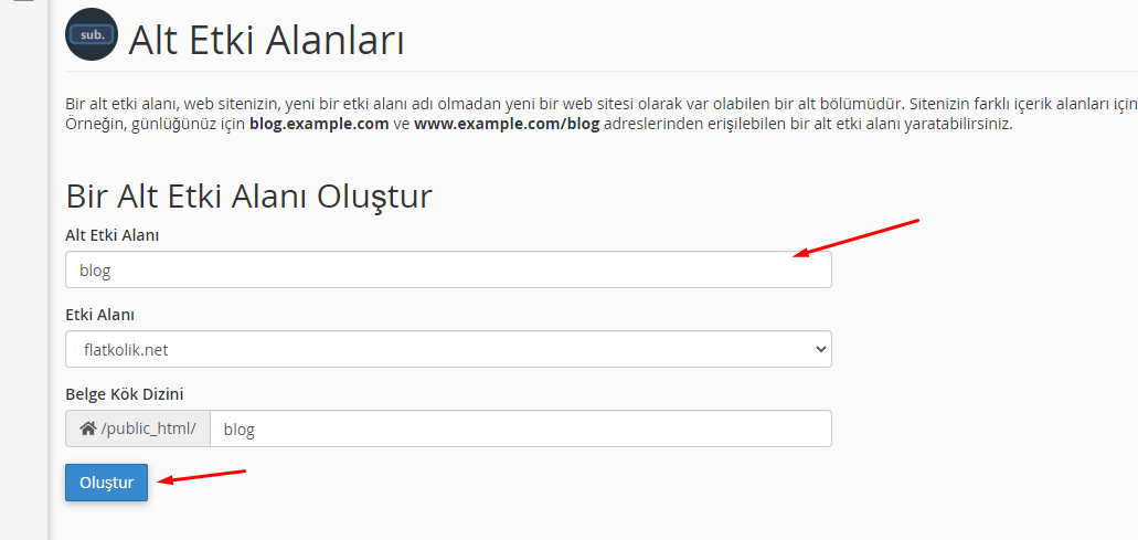 c-Panel-Alt-Alan-adi-olusturma-2.png