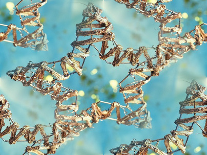 0_7a085_cc25991f_orig