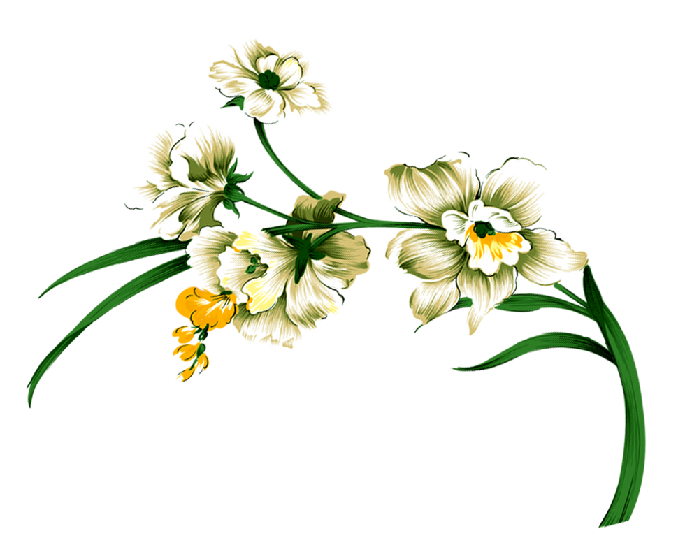 cicek_png_21.png