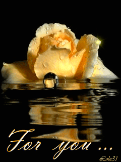 e6ed80671a74e94ea0f6f4lsbi.gif