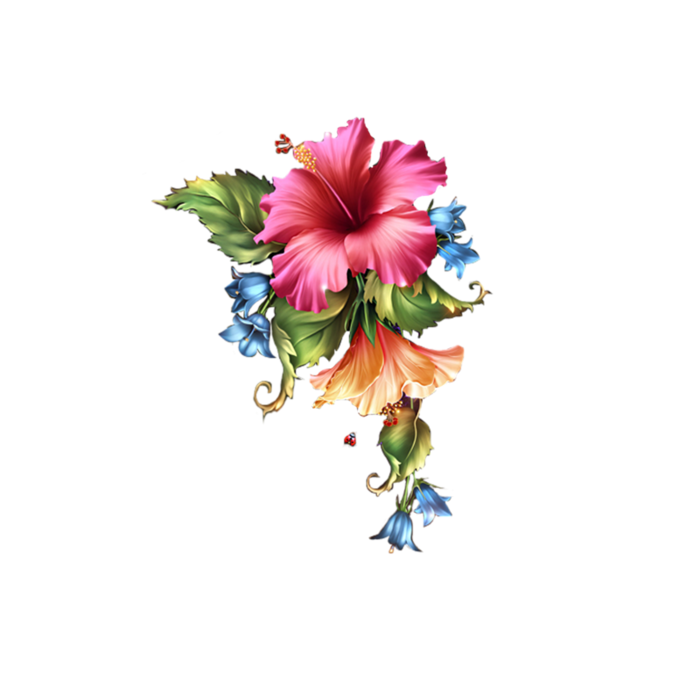 cicek_png_85.png