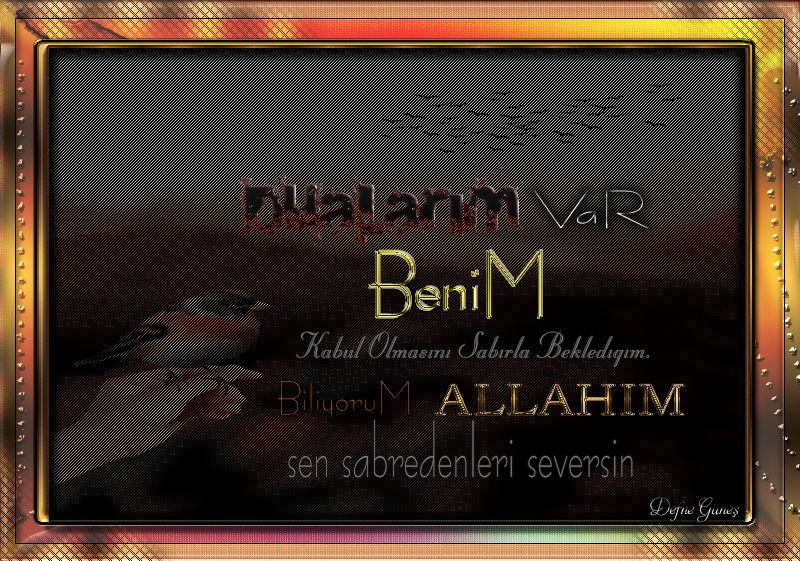 DEFNE33.jpg